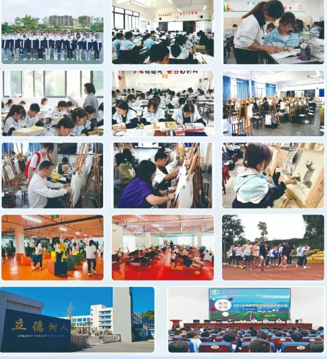 实训实习