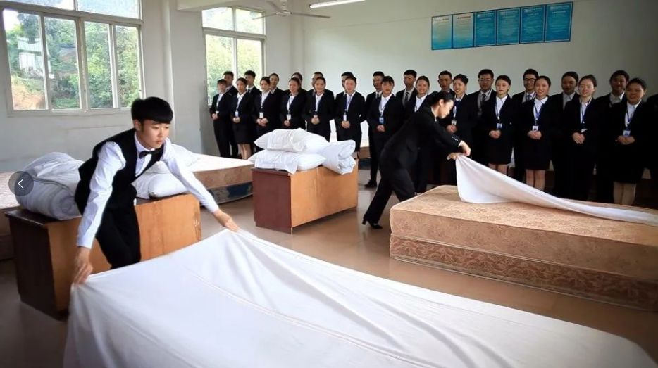 实训实习