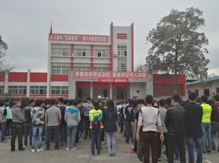 实训实习