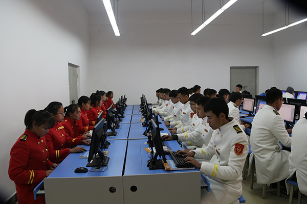 实训实习