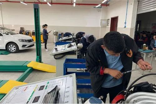 实训实习